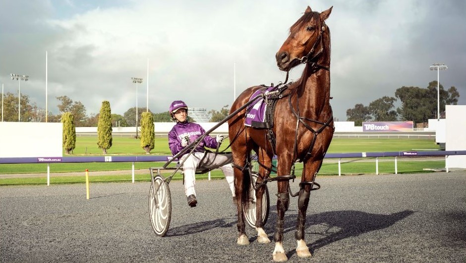 NSW TAB betting options and tips