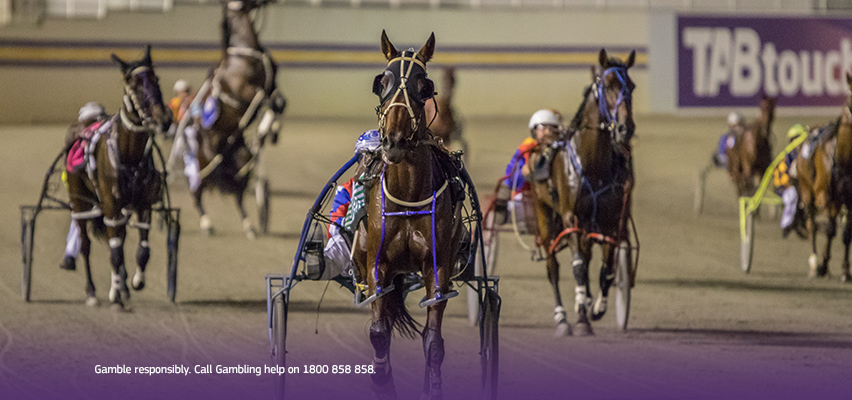 Where can I find live horse racing results today?