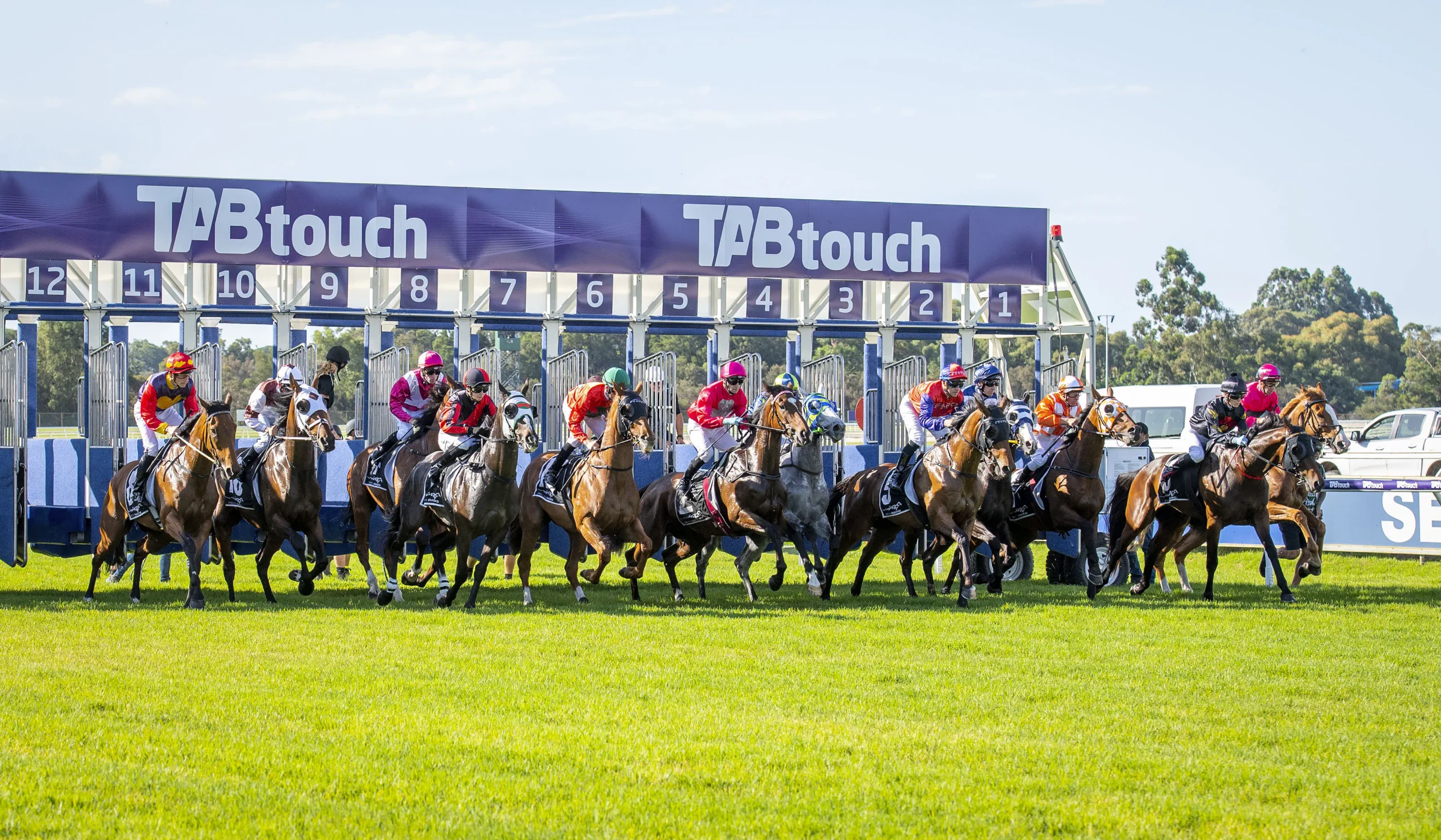 live horse racing results today