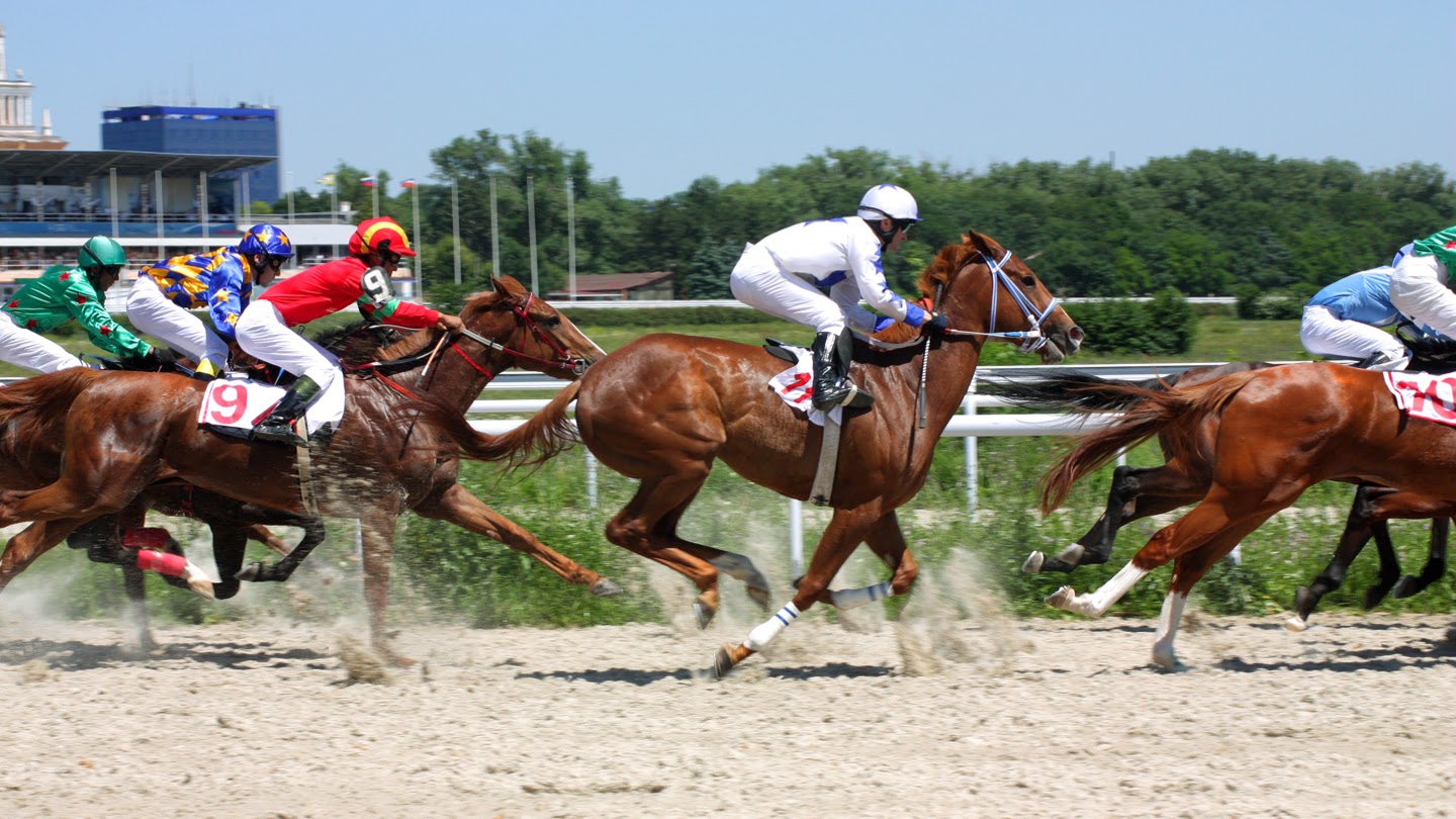 free horse racing results today