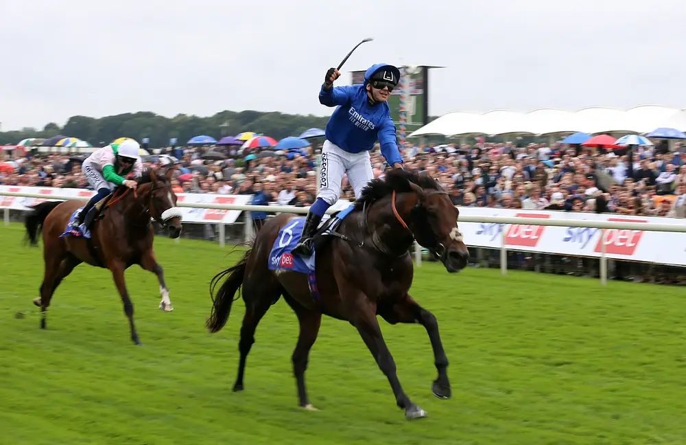 horse racing results today by track