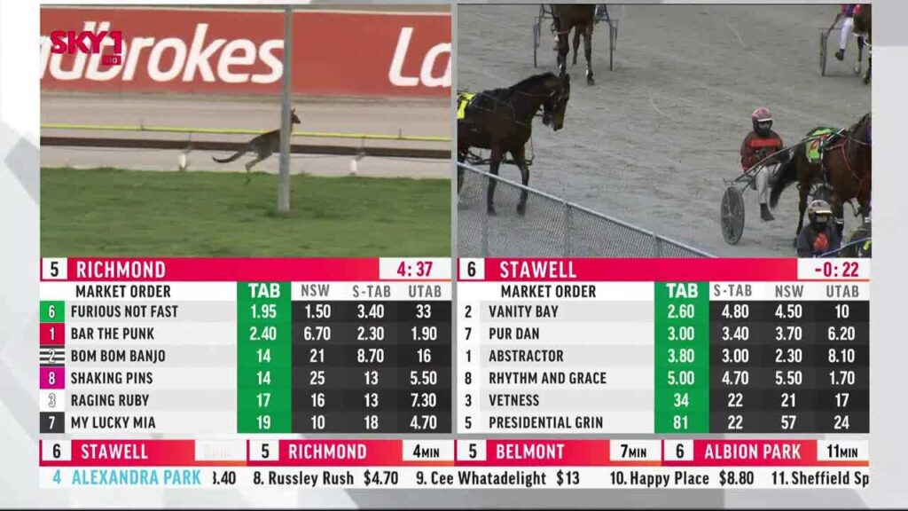 tab racing today results