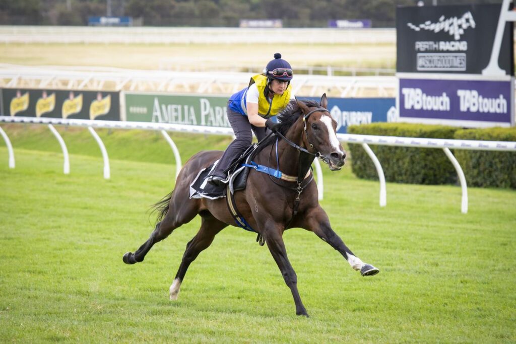 tabtouch horse racing