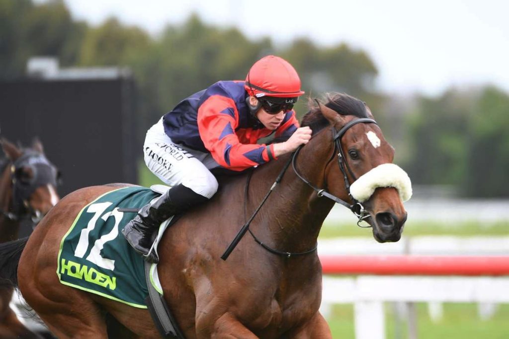 TAB NSW sportsbet thoroughbred horse racing scene at an Australian track