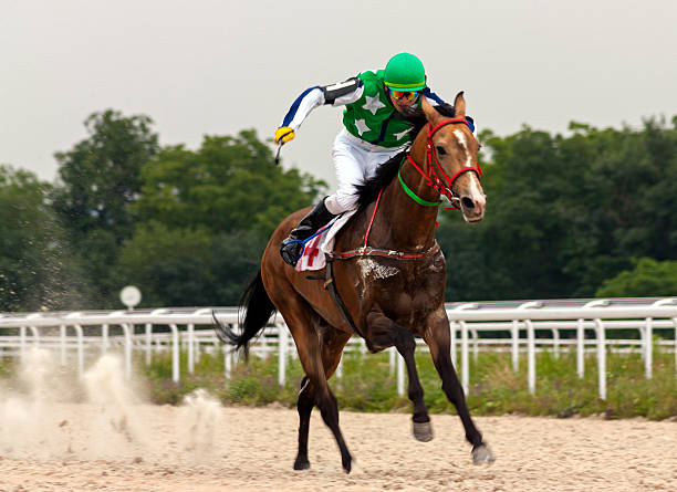Jockeys in racing colours competing on thoroughbreds at an Australian horse racing track
