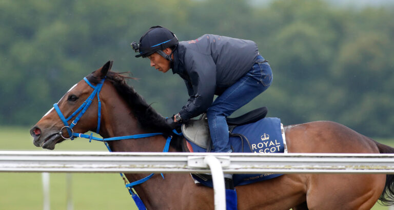 Jockey in racing silks during a meeting — checking nswtab results yesterday