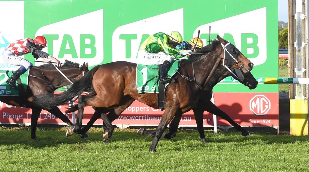 Close-up of a jockey leaning into a thoroughbred during a TAB Vic horse race finish