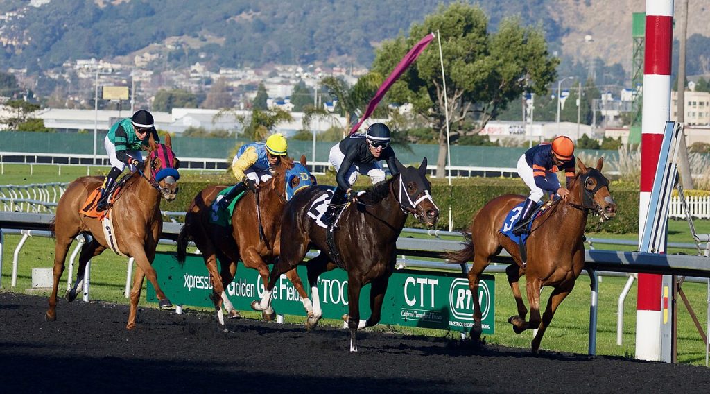 Jockeys round the bend at a thoroughbred horse racing track during a Sydney-style race
