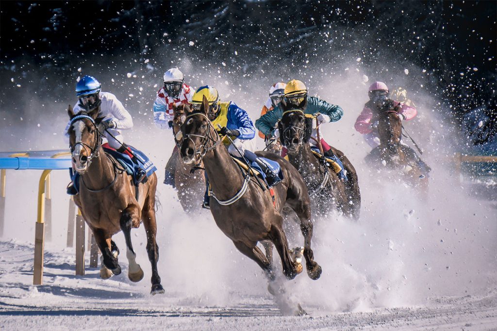 Field of thoroughbred horses and jockeys mid-race on a sandy racetrack at full gallop