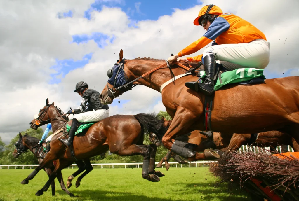 Solo thoroughbred racehorse and jockey crossing the finish line on a clear day