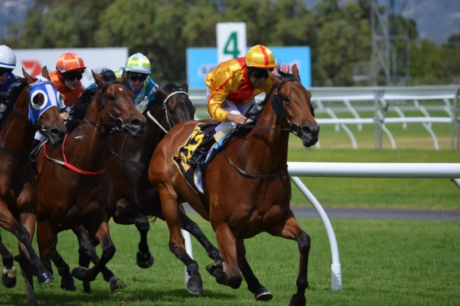 TAB NSW sportsbet horse racing finish line with thoroughbreds crossing the post