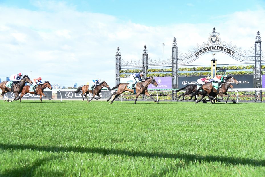 NSW TAB rewards illustration with racecourse, racehorses and loyalty reward coins