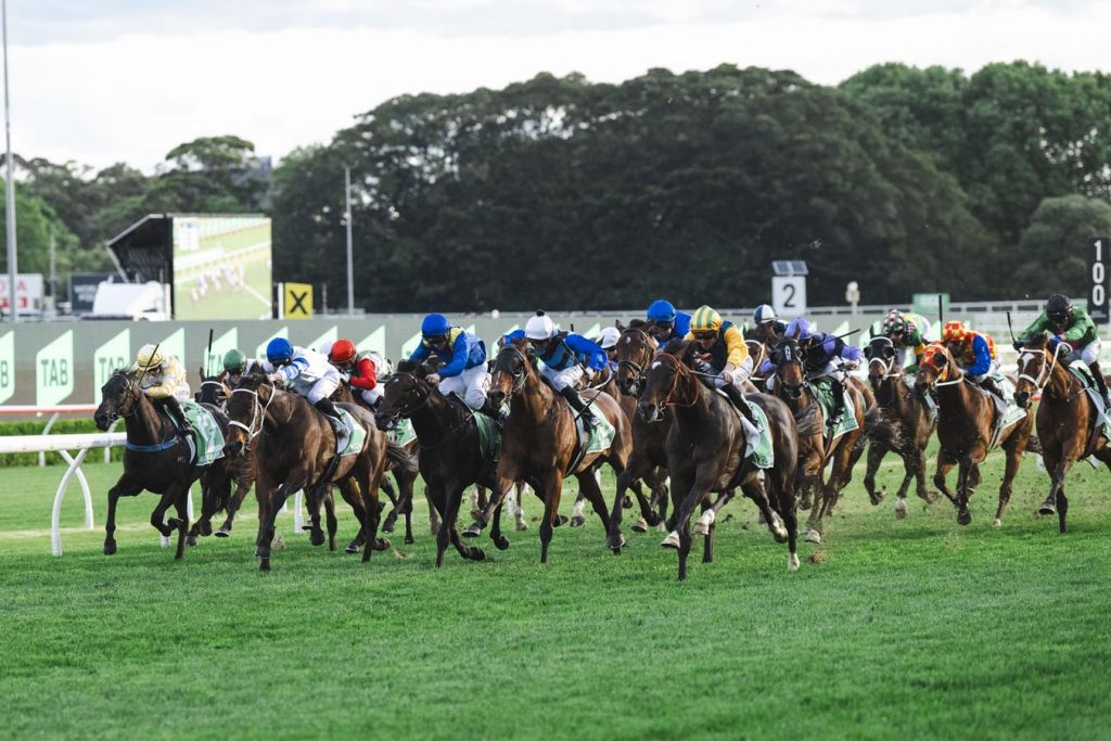 Betting slip illustration listing ongoing NSW TAB racing and sports features